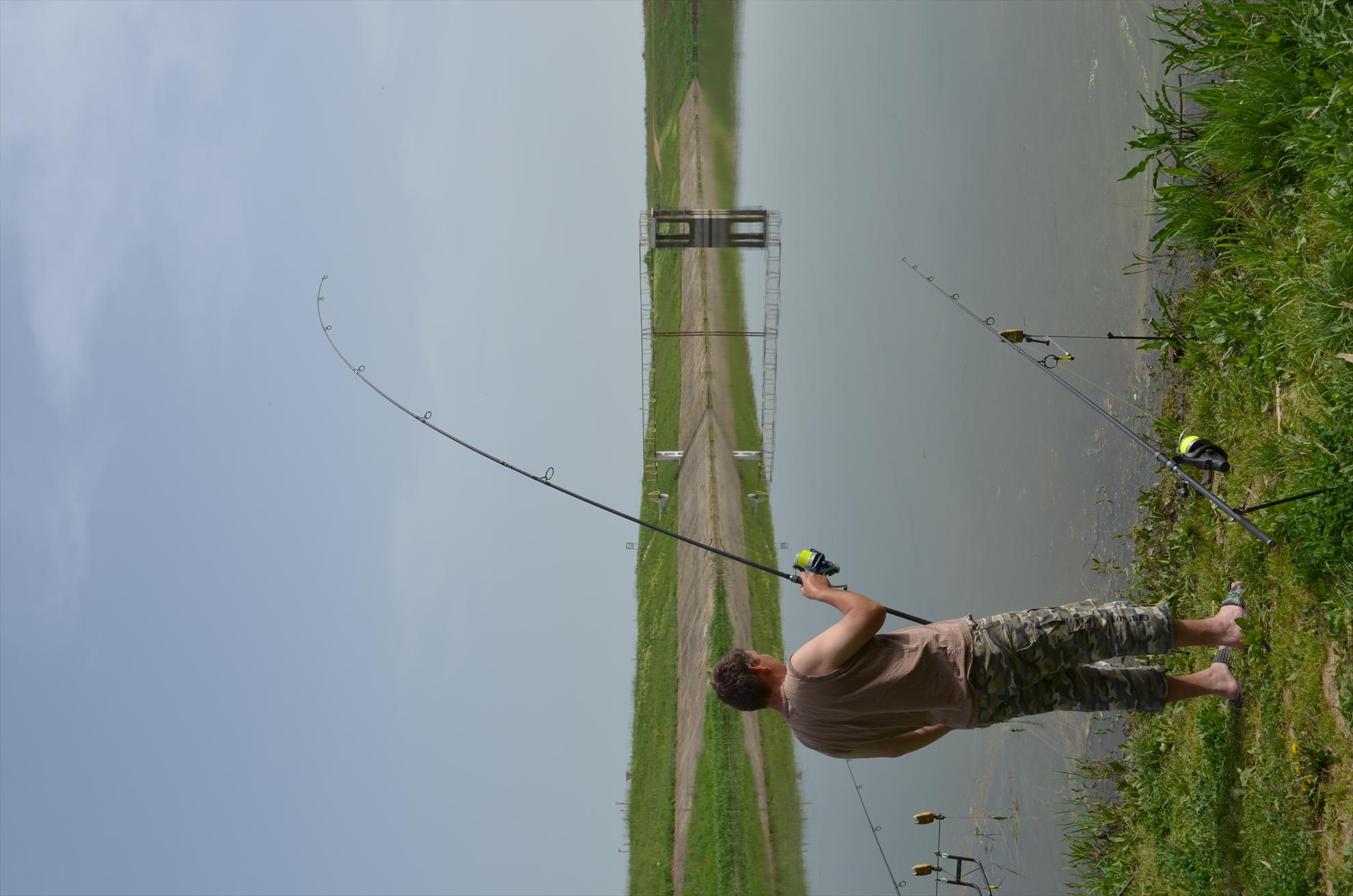 sisterea - dsc0544.JPG